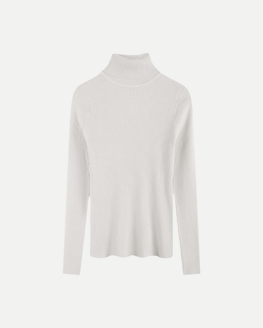 Turtleneck Sweater 
