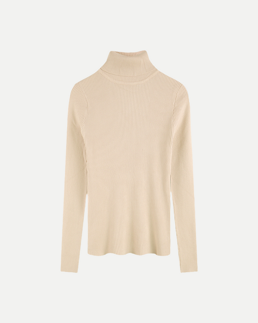 Turtleneck Sweater 